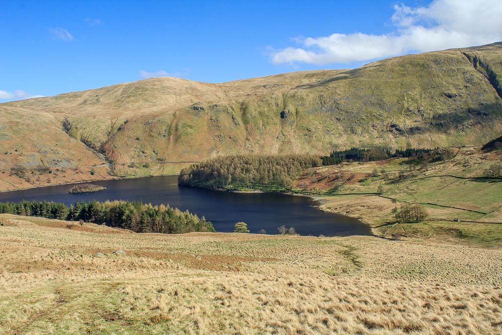 The Rigg
